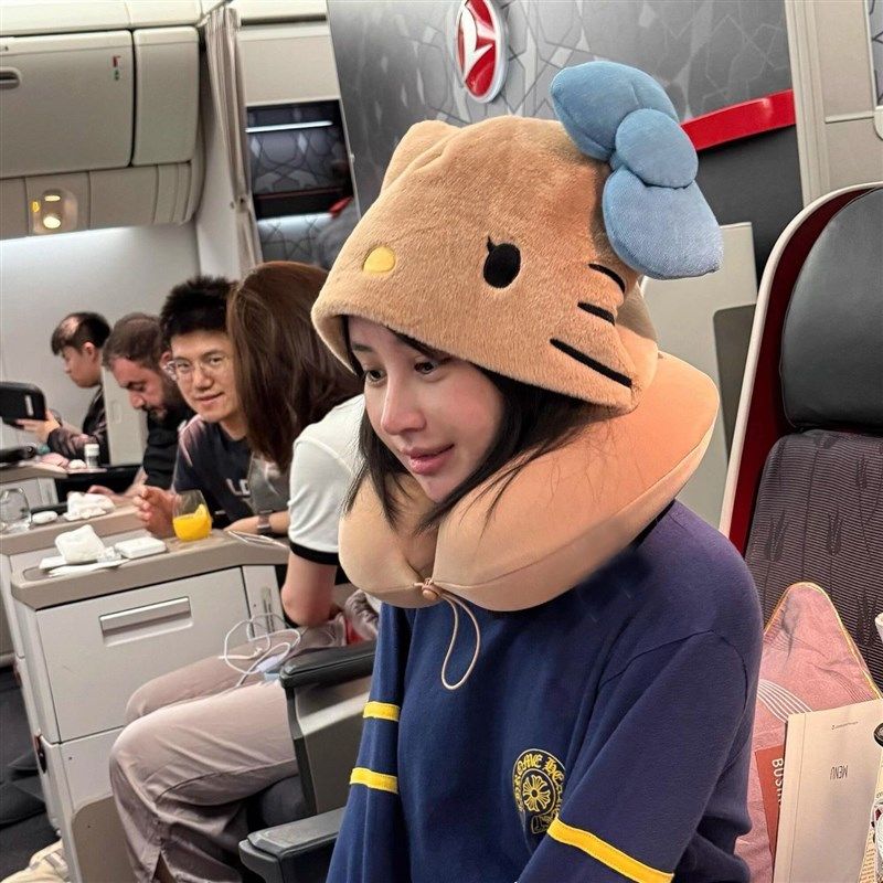 高颜值可爱小猫卡通午睡飞机护颈旅行坐车便携办公室连帽帽子枕头,淘宝优惠券,粉丝福利购,淘宝优惠卷
