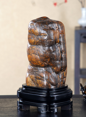 顶爷奇石原石靠山收藏大化石摆件