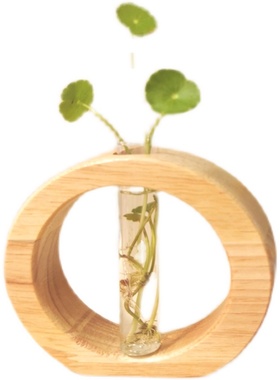 创意桌面试管水培绿植实木摆件透明玻璃试管花瓶艺术插花可墙壁挂