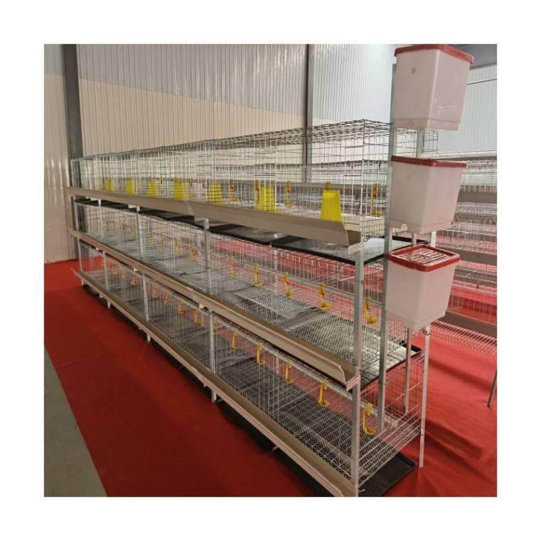 厂家销售三层立式肉鸡笼养殖养鸡设备肉鸡笼防锈肉鸡笼热镀锌鸡笼,淘宝优惠券,粉丝福利购,淘宝优惠卷