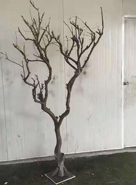 白色干树枝造景干枝树干许愿树枯树室内造型树枝干原X木树枝装饰