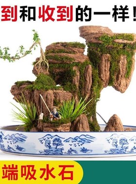 吸水石盆景摆件山石水景造景流水摆件客厅造景微景观选石配石假山