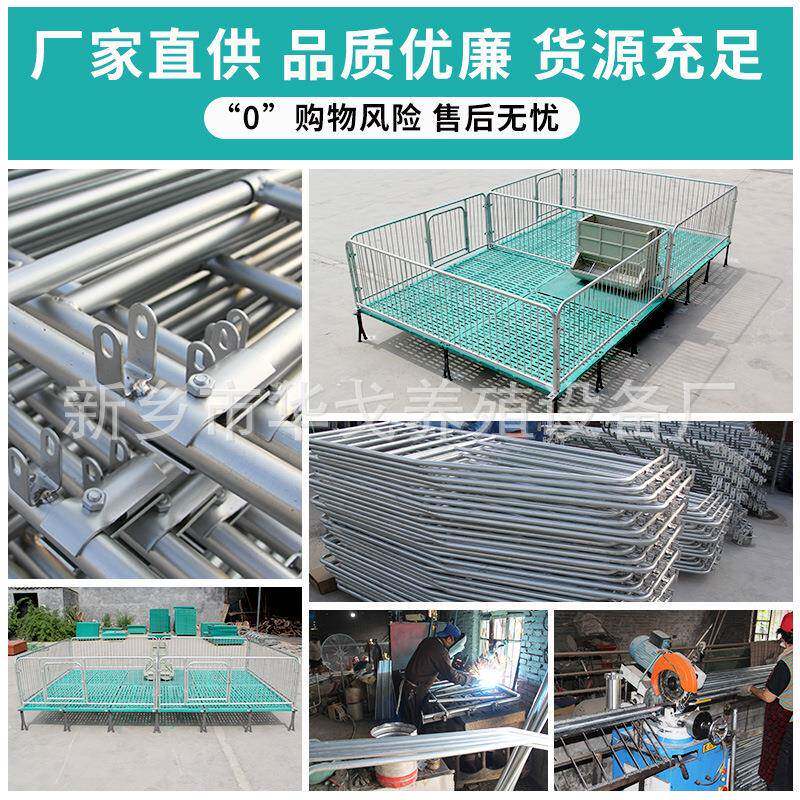 带粪板母猪限位栏落地式简易产床栏加厚热镀锌母猪定位栏养殖设备 - 图2