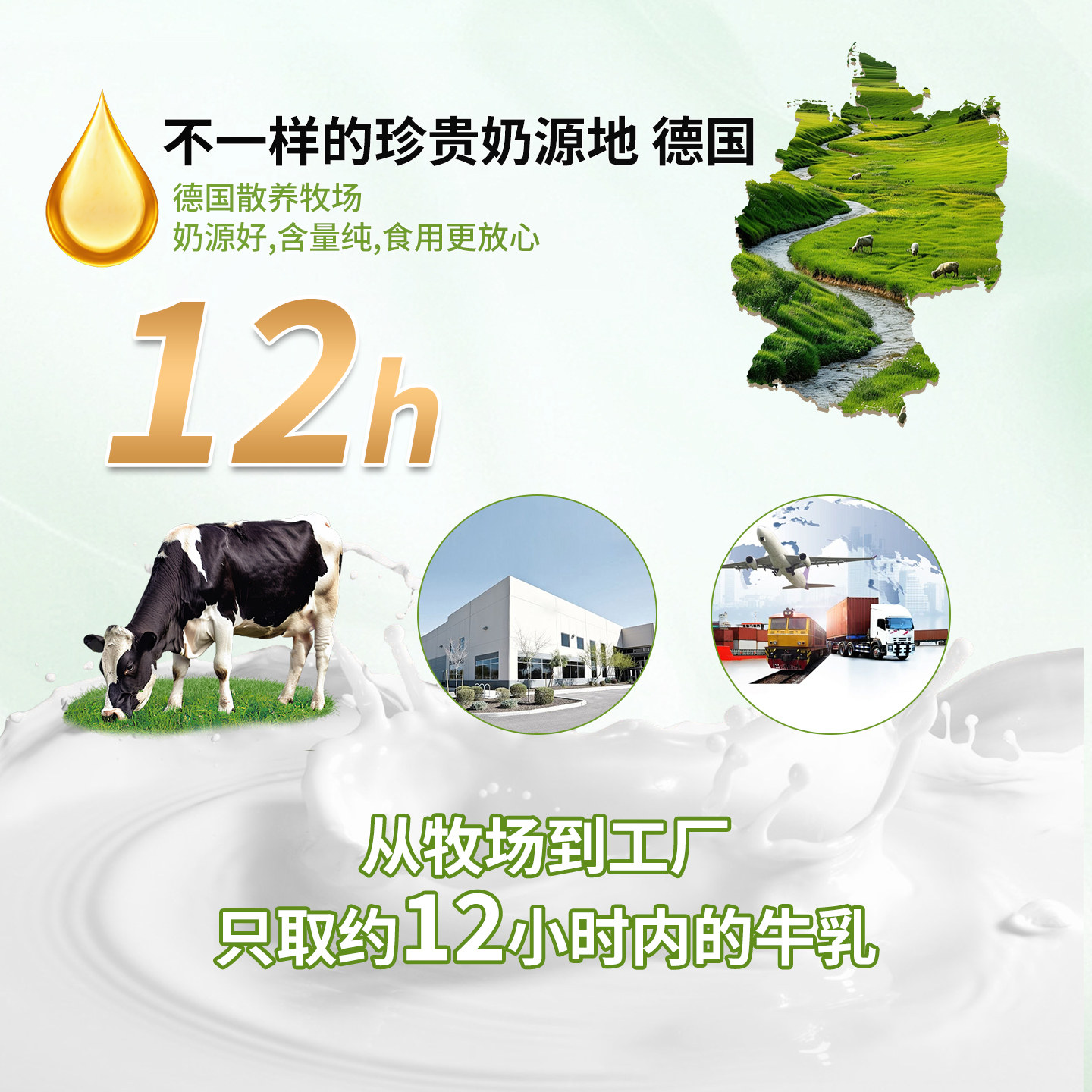 Bestvital免疫球蛋白儿童成人乳铁呵护免疫力牛初乳官方旗舰店 - 图1