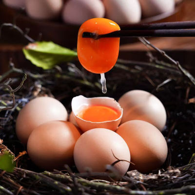 山林养殖！豫山村新鲜土鸡蛋6枚
