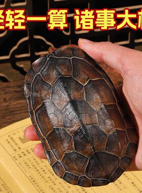天然完整真乌龟壳甲文玩