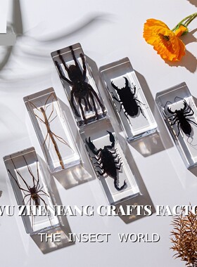 真实昆虫标本高透树脂琥