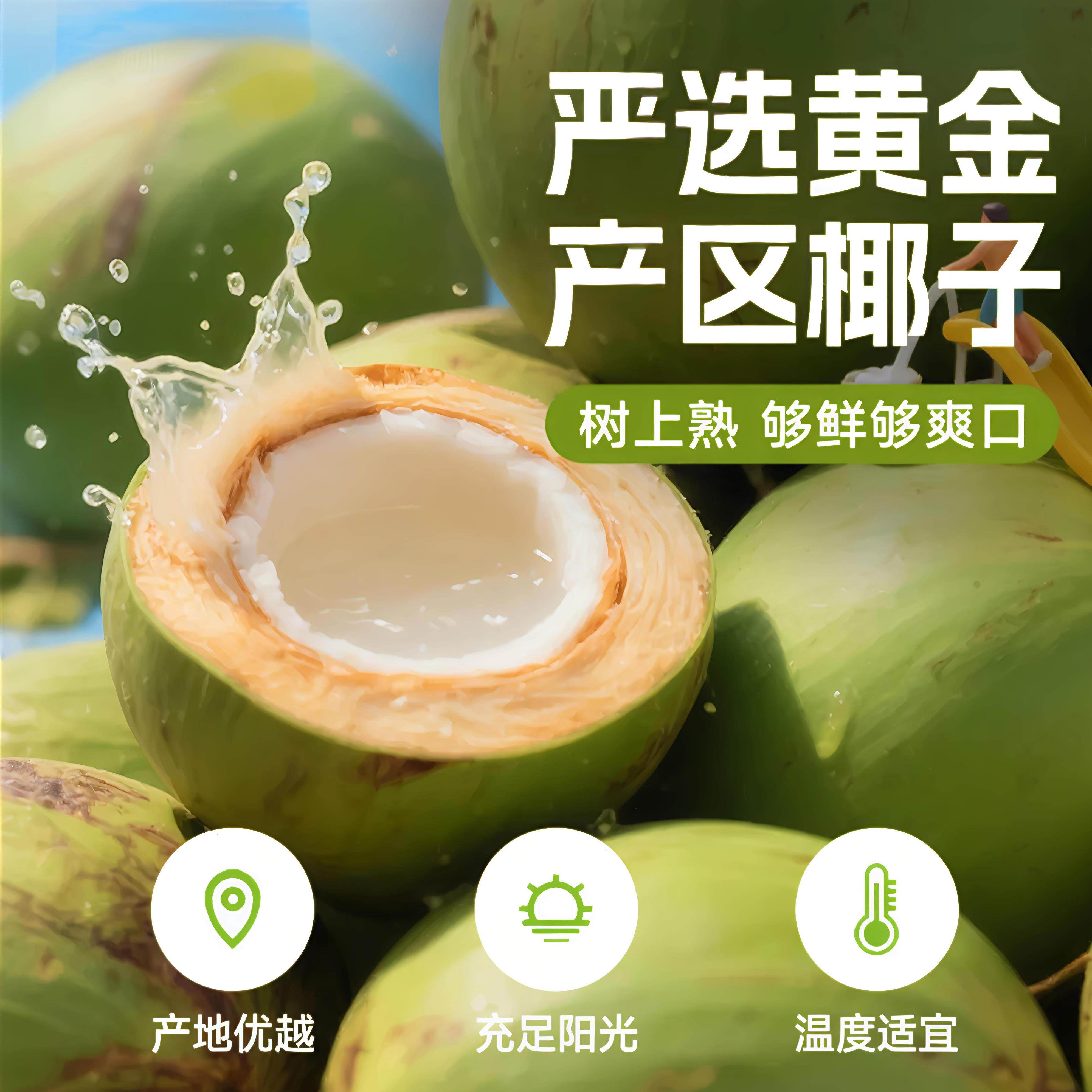 100%椰子水nfc天然纯椰子250ml*10瓶果汁椰汁水含电解质饮料孕妇