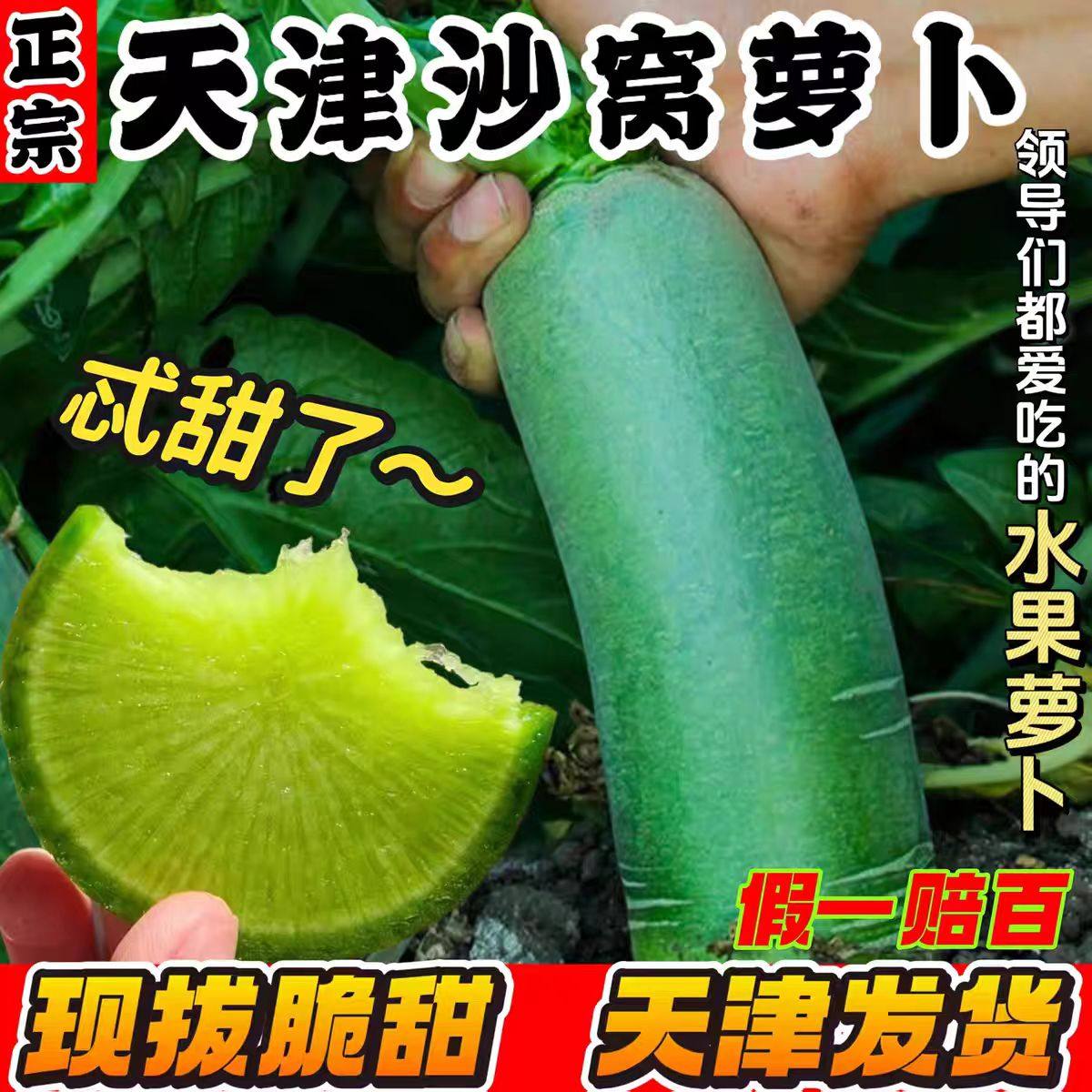 正宗天津沙窝萝卜天星2号不辣现挖新鲜蔬菜脆甜水果青萝卜礼盒,淘宝优惠券,粉丝福利购,淘宝优惠卷