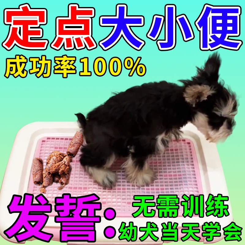 【一喷定位】狗狗定点排便神器训练小狗上厕所诱导剂防止狗狗乱拉 - 图3