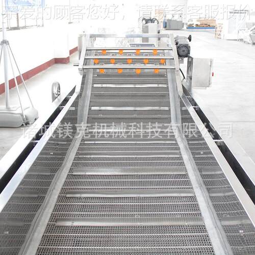 豌豆香银VOM耳包椿芽加工线 菜生产线 全套清洗酱风干装流水线 - 图1