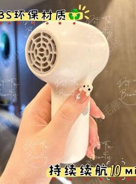 便携无线低噪音吹风机 家用宠物便携充电智能恒温宠物吹头发环保