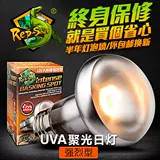 UVA Frosted отопление солнечного света Восхождение на рептилий черепахой ящериц в день изоляции