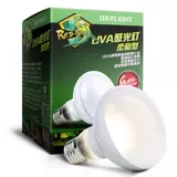 UVA Frosted отопление солнечного света Восхождение на рептилий черепахой ящериц в день изоляции