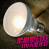 UVA Frosted отопление солнечного света Восхождение на рептилий черепахой ящериц в день изоляции