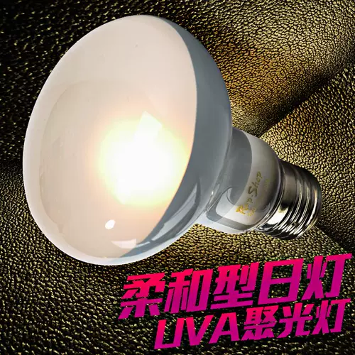 UVA Frosted отопление солнечного света Восхождение на рептилий черепахой ящериц в день изоляции