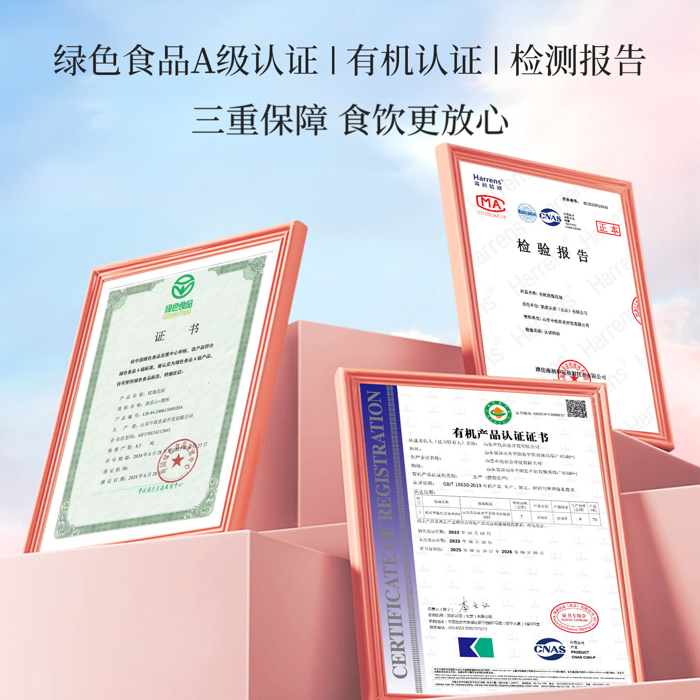 平阴玫瑰花茶2025年新花干花食用重瓣玖瑰花冠茶女泡水旗舰店正品,淘宝优惠券,粉丝福利购,淘宝优惠卷