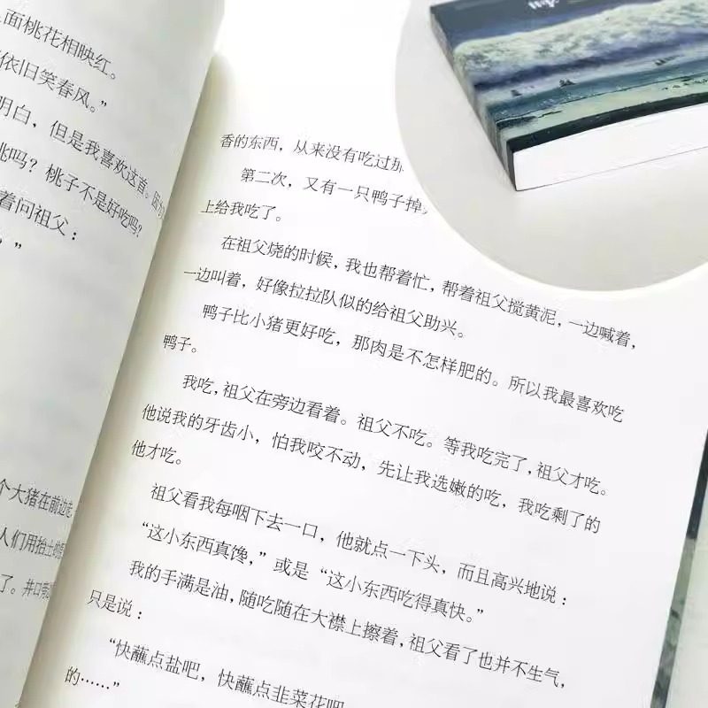 【5本20元全店任选】呼兰河传 萧红著原版原著正版中小学生课外阅读书初中生小学生,淘宝优惠券,粉丝福利购,淘宝优惠卷