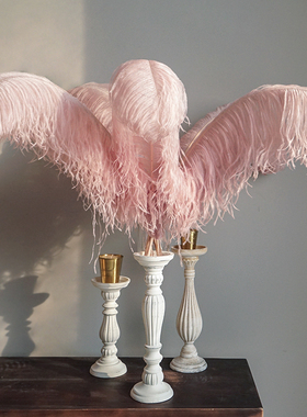 蜡烛台晚餐复古做旧北欧式美式乡村婚庆花艺道具羽毛容器玻璃摆件