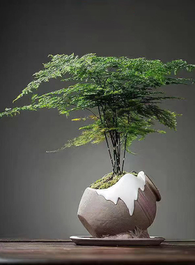 【比翼连枝】宁静致远陶瓷花盆