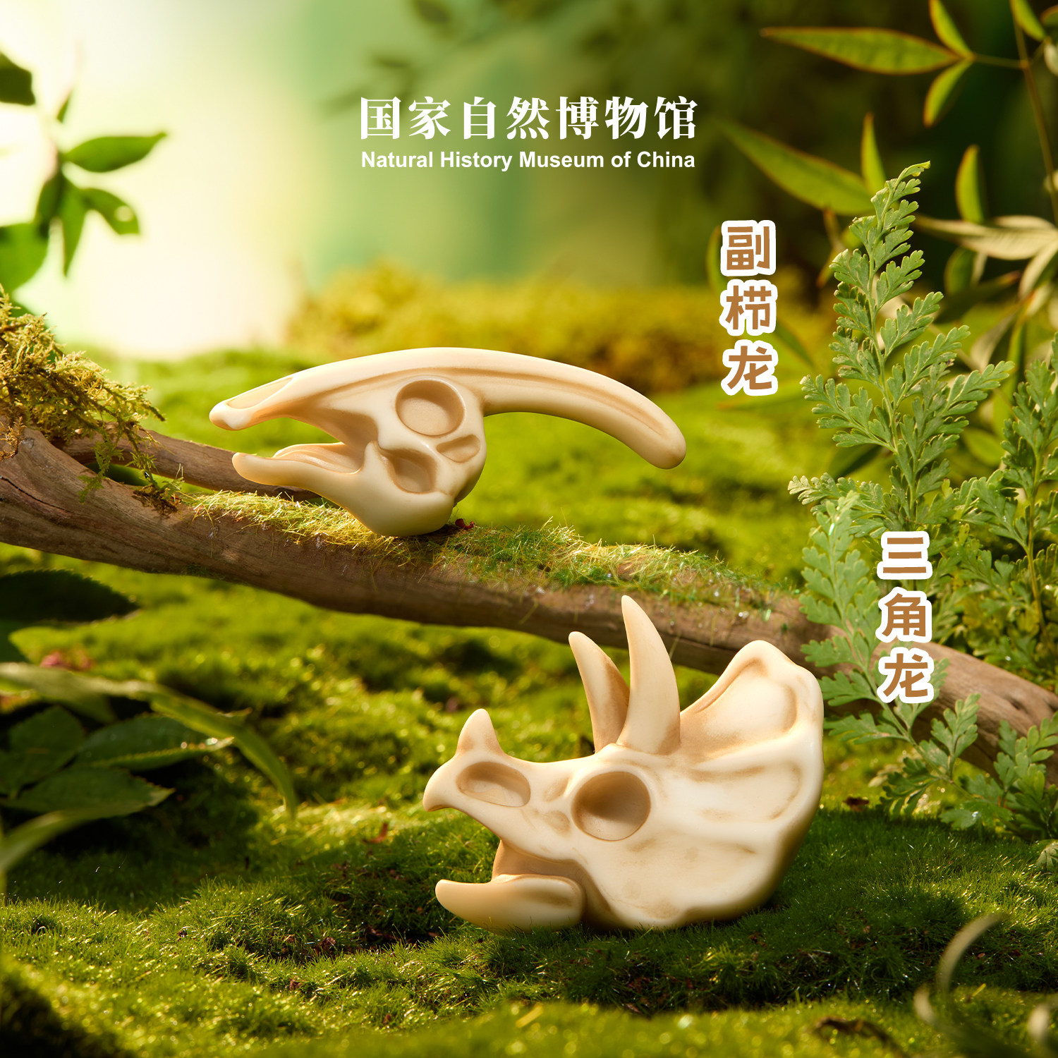 国家自然博物馆白垩纪化石冰箱贴考古挖掘盲盒冰箱贴恐龙生日礼物,淘宝优惠券,粉丝福利购,淘宝优惠卷