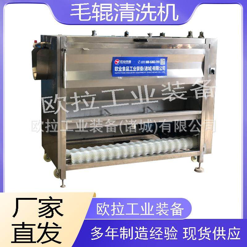 牡蛎海虹毛辊清洗去皮一体机 萝卜毛刷清洗设备 莲藕清洗去泥机,淘宝优惠券,粉丝福利购,淘宝优惠卷