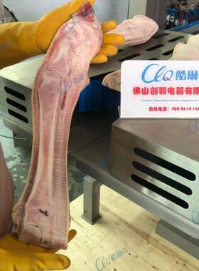 A生猪蹄熟猪蹄劈半切半机 输送均匀效率不锈钢猪脚切半机 安全
