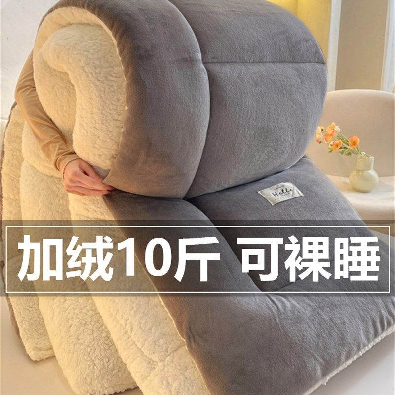 羊羔绒被子2025新款冬季棉被被芯冬天单人宿舍秋冬被加厚保暖10斤,淘宝优惠券,粉丝福利购,淘宝优惠卷