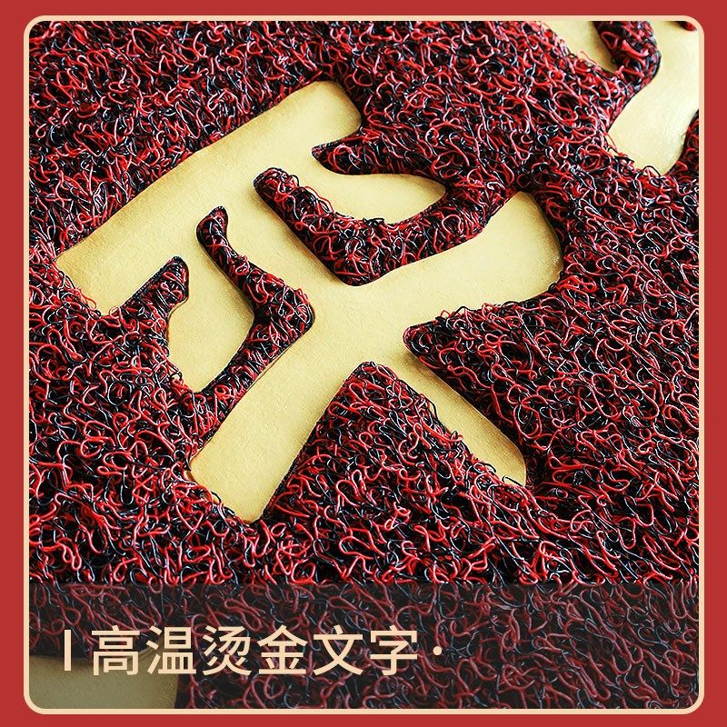 入户门地垫进门大门口出入平安门垫2025新款红色丝圈脚垫门外地毯,淘宝优惠券,粉丝福利购,淘宝优惠卷