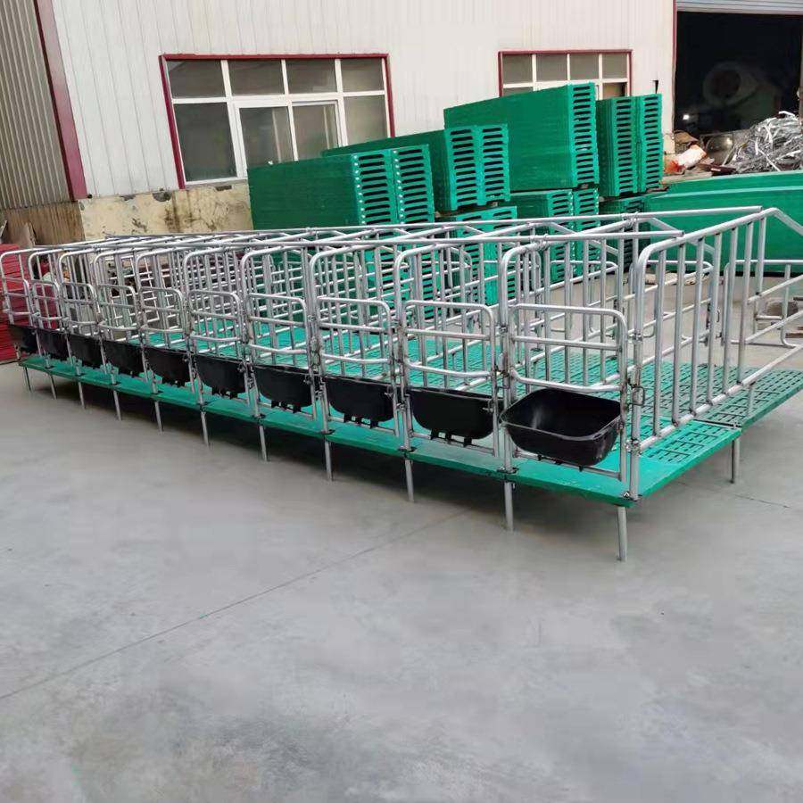 不锈钢槽定位栏热镀锌母猪限位栏单体限位栏新款定位栏现货供应,淘宝优惠券,粉丝福利购,淘宝优惠卷