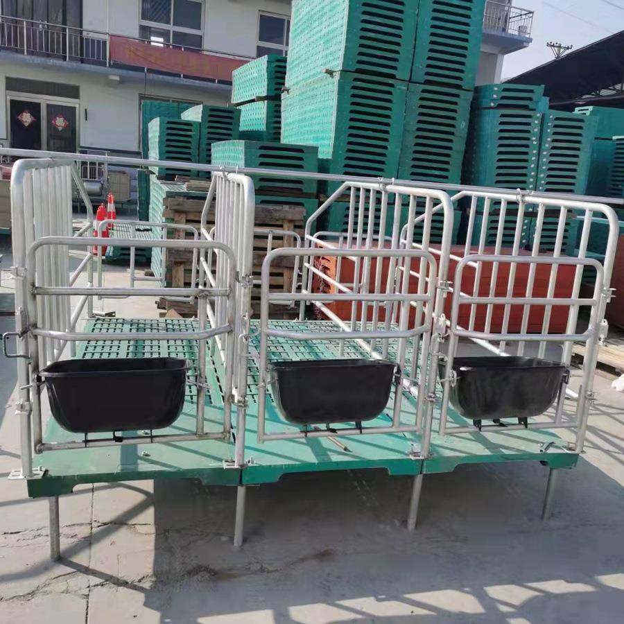 不锈钢槽定位栏热镀锌母猪限位栏单体限位栏新款定位栏现货供应,淘宝优惠券,粉丝福利购,淘宝优惠卷