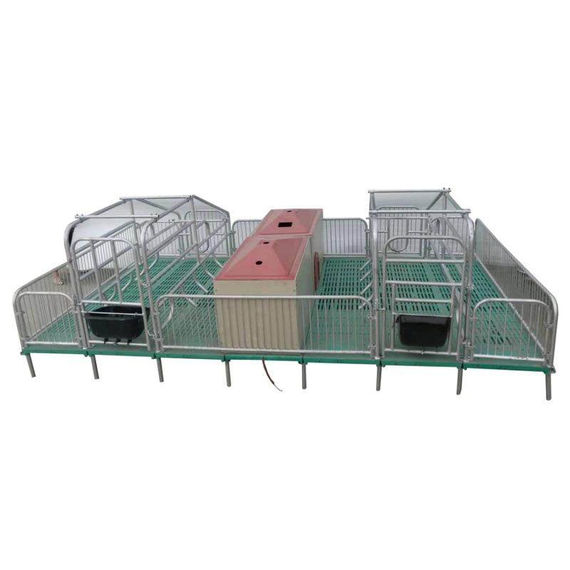 全系列猪用产床产保一体母猪双体分娩床热镀锌围栏加厚耐用的产床,淘宝优惠券,粉丝福利购,淘宝优惠卷