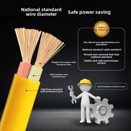 国标双芯电缆Rvv线软线1.52.5 4平方米10 20m护套电车充电源线 - 图1