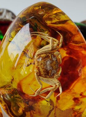子琥珀虫珀标本带吊坠昆虫虫蝴蝶礼品挂件纯手工蝎子项链制作蜘蛛