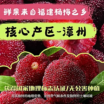 【夏漾】冰杨梅汁原浆果汁饮料248ml*6瓶[20元优惠券]-寻折猪