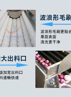 药材毛棍清洗去皮机 全自动平行式毛辊清洗机 小黄姜去皮清洗机