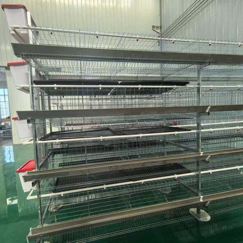 供应立式粪盘蛋鸡笼热镀锌材质三层四层自动清粪养鸡笼肉鸡笼厂家,淘宝优惠券,粉丝福利购,淘宝优惠卷