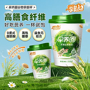 早餐友高纤轻食代餐粉[10元优惠券]-寻折猪