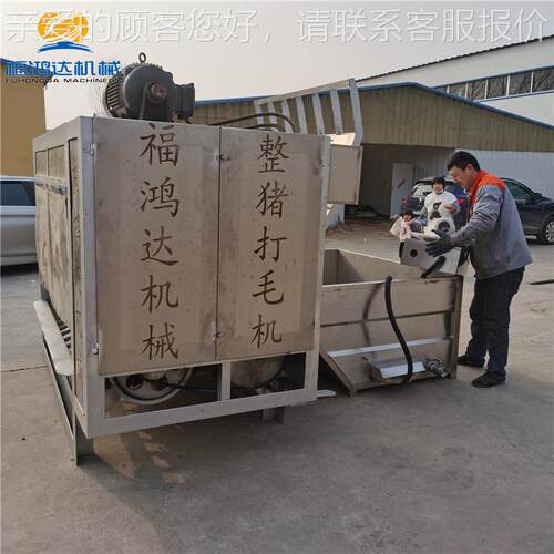总度FHD100两米四的长锈猪脱毛机 不钢烫猪浸池 全自动猪褪毛设备 - 图2
