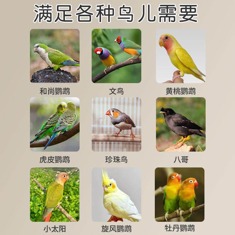 优质鹦鹉鸟笼子大号家用豪华别墅虎皮玄凤珍珠鸟牡丹专用新型防溅,淘宝优惠券,粉丝福利购,淘宝优惠卷