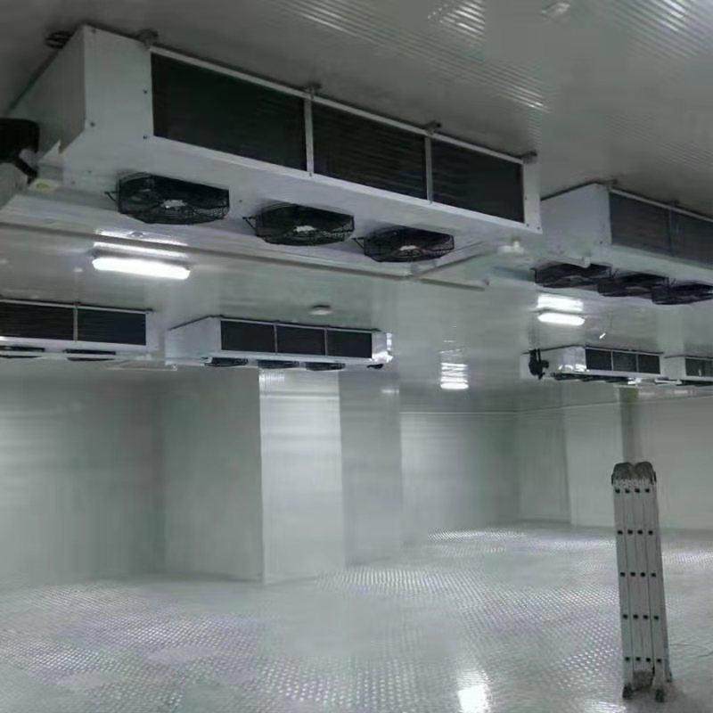 白菜冬瓜马铃薯冷库香蕉苹果葡萄保鲜冷库低温速冻制冷设备,淘宝优惠券,粉丝福利购,淘宝优惠卷