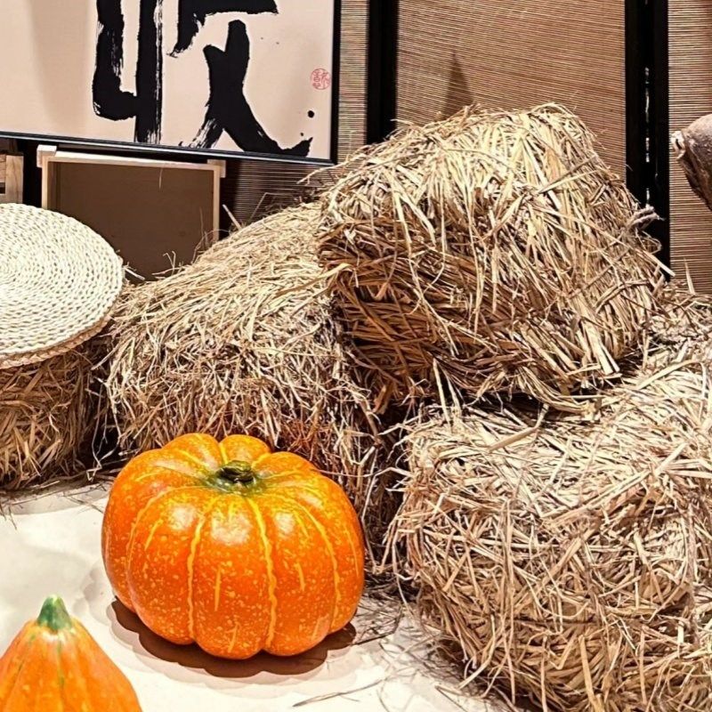 秋收装饰方形草垛秋日秋季商铺橱窗农场造景布置道具稻草围炉煮茶,淘宝优惠券,粉丝福利购,淘宝优惠卷