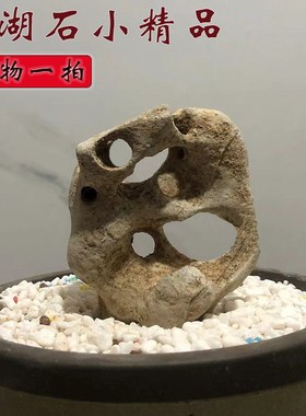太湖石小摆件天然原石微景观石盆景菖蒲花盆造景附石摆件假山英石