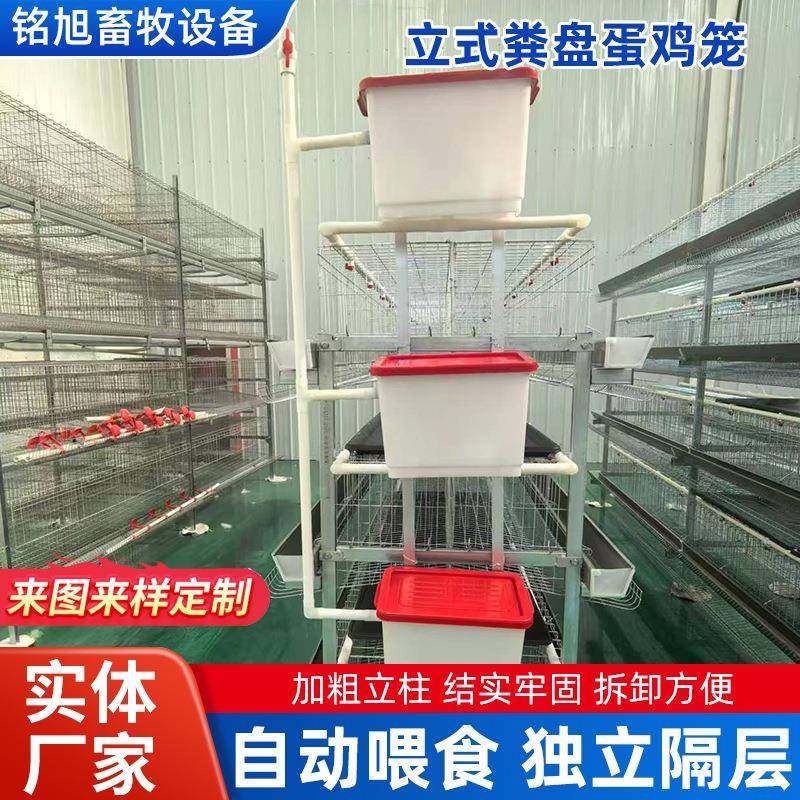 立式粪盘蛋鸡笼三层四层自动清粪养鸡笼镀锌材质层叠式设计肉鸡笼,淘宝优惠券,粉丝福利购,淘宝优惠卷