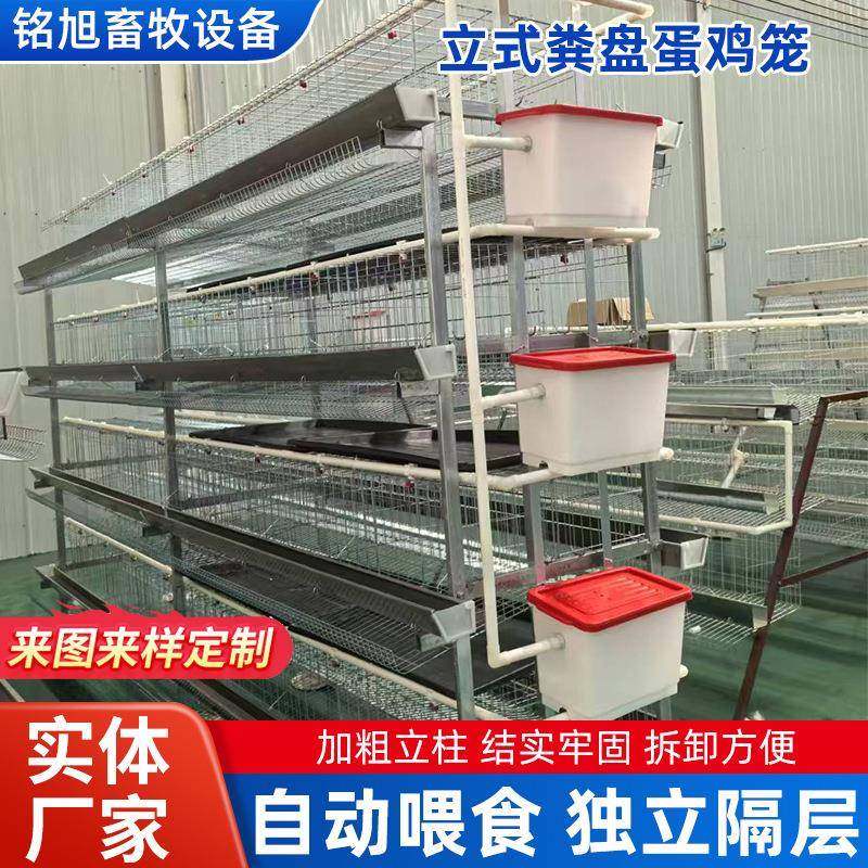 立式粪盘蛋鸡笼三层四层自动清粪养鸡笼镀锌材质层叠式设计肉鸡笼,淘宝优惠券,粉丝福利购,淘宝优惠卷