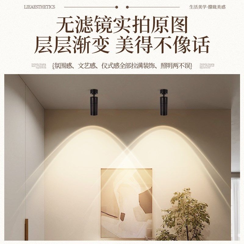 氛围灯度明装吸顶客厅墙面走廊过道玄关壁画日落,淘宝优惠券,粉丝福利购,淘宝优惠卷