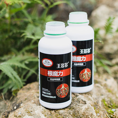 种花王大爷王多多根魔力植物营养液肥料盆栽植物 通用促生根促花 - 图2