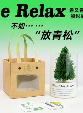 放青松办公室客厅桌面摆件工位治愈植物情绪稳定神器小众节日礼物