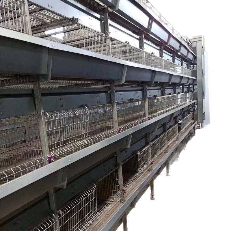镀锌鸡笼全自动青年鸡笼层叠立式青年鸡笼设备自动一体化清粪笼,淘宝优惠券,粉丝福利购,淘宝优惠卷