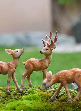 微景观仿真梅花鹿摆件假山盆景沙盘枯山水树脂小鹿装饰桌面小动物